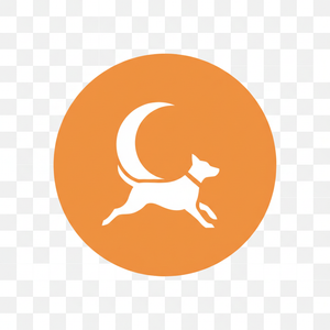 Activity and Sleep Tracking