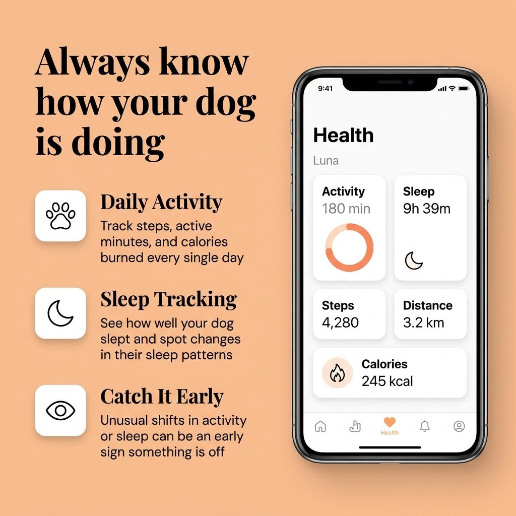Geopawz-gps-pet-tracker